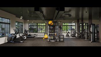 Modern Fitness Center at Aviator Lofts, Virginia, 23602
